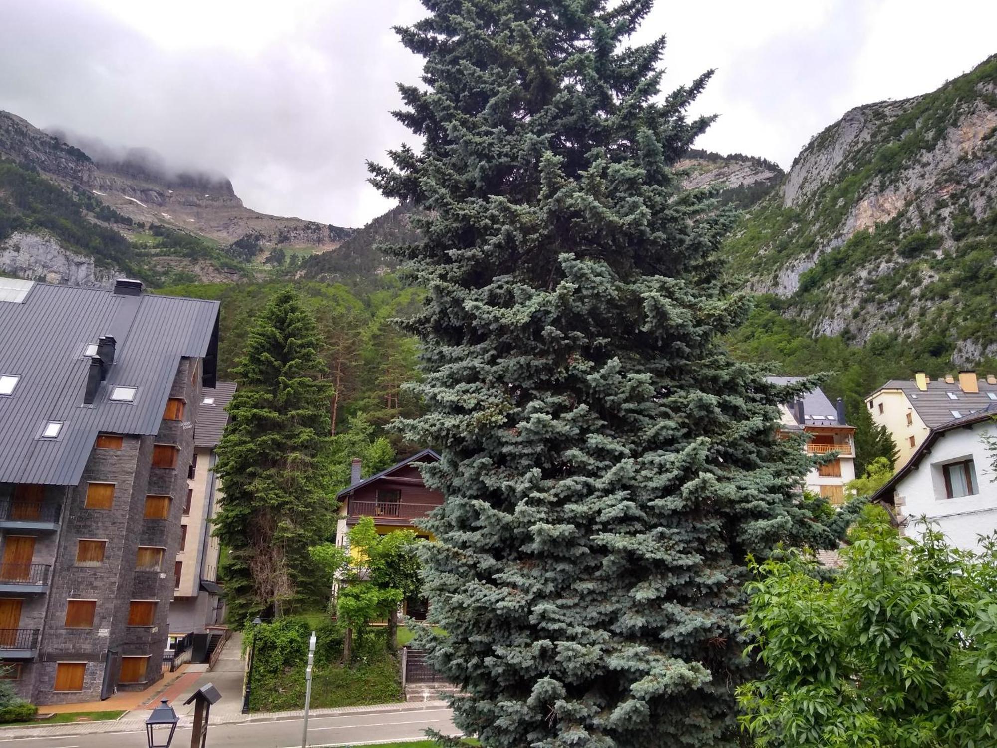 Apartamento Arce - INMOPREMIUM TURÍSTICO Canfranc Exterior foto
