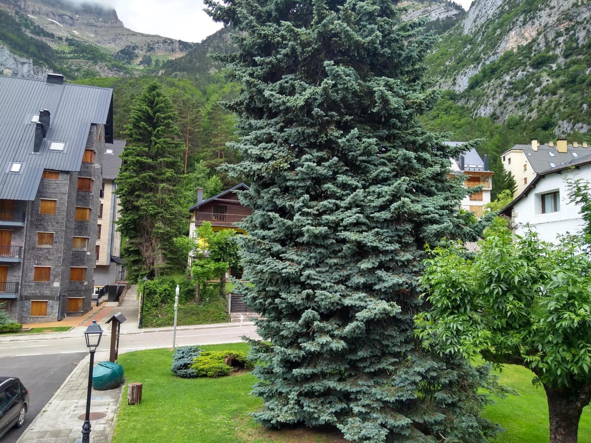 Apartamento Arce - INMOPREMIUM TURÍSTICO Canfranc Exterior foto
